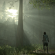 Screenshot: Shadow Of The Colossus (2018)/Sony